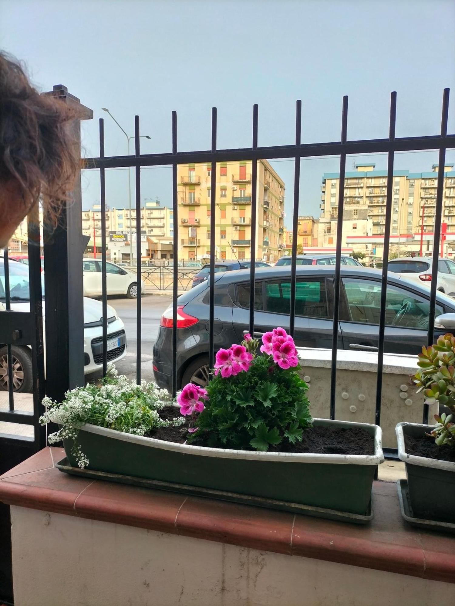 Ciuridda Mia Apartman Palermo Kültér fotó