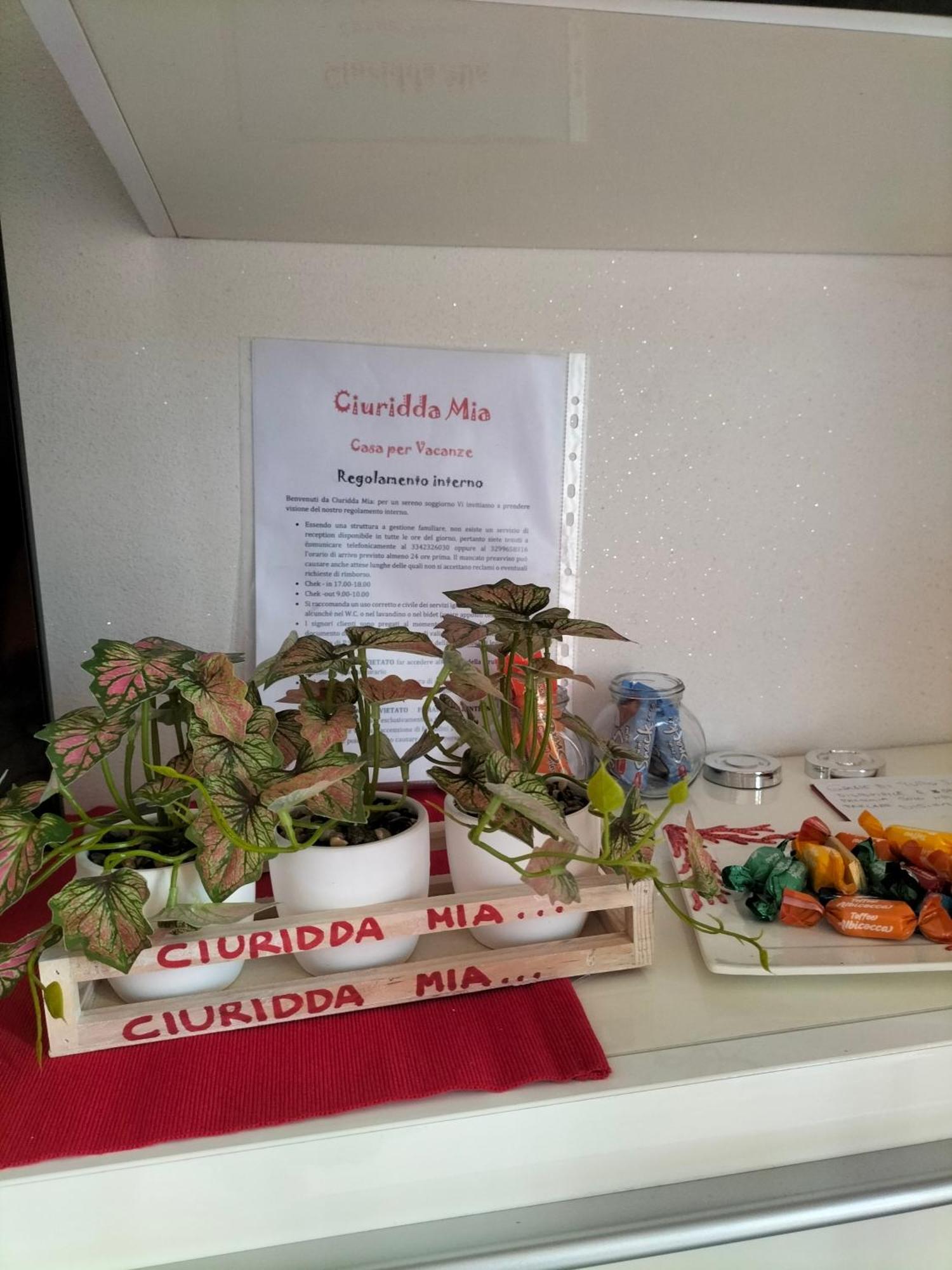 Ciuridda Mia Apartman Palermo Kültér fotó